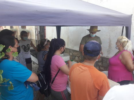 Prcticas “Formacin Ocupacional de Actividades Auxiliares de Cultivos Agrcolas” en Puerto Lumbreras
