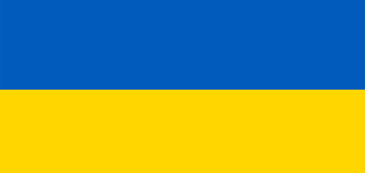 Nos movilizamos para apoyar la respuesta solidaria frente a la crisis de Ucrania y para pedir un trato en igualdad de condiciones para la poblacin gitana ucraniana